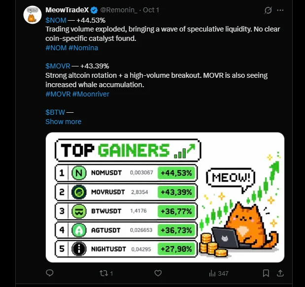 MeowTradeX post: top 5 gainers of the day with branded cat graphic